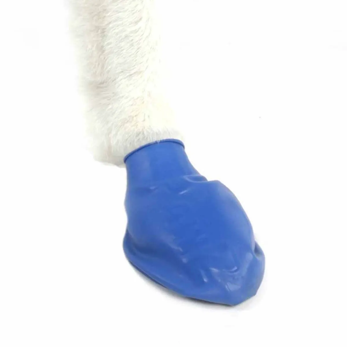 koiran suojatossut, 12 kpl>PawZ Hot