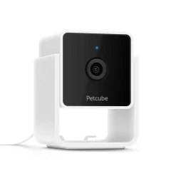 Cam lemmikkikamera kotiin>Petcube Sale