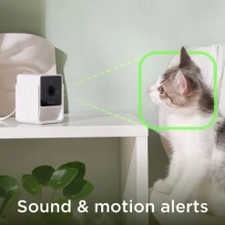 Cam lemmikkikamera kotiin>Petcube Sale