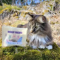 hyönteispohjainen kissanherkku 60 g>Petgood Outlet