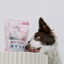 hyönteispohjainen koiranherkku pennuille 100 g>Petgood Hot