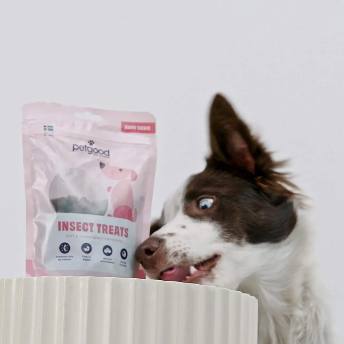 hyönteispohjainen koiranherkku pennuille 100 g>Petgood Hot