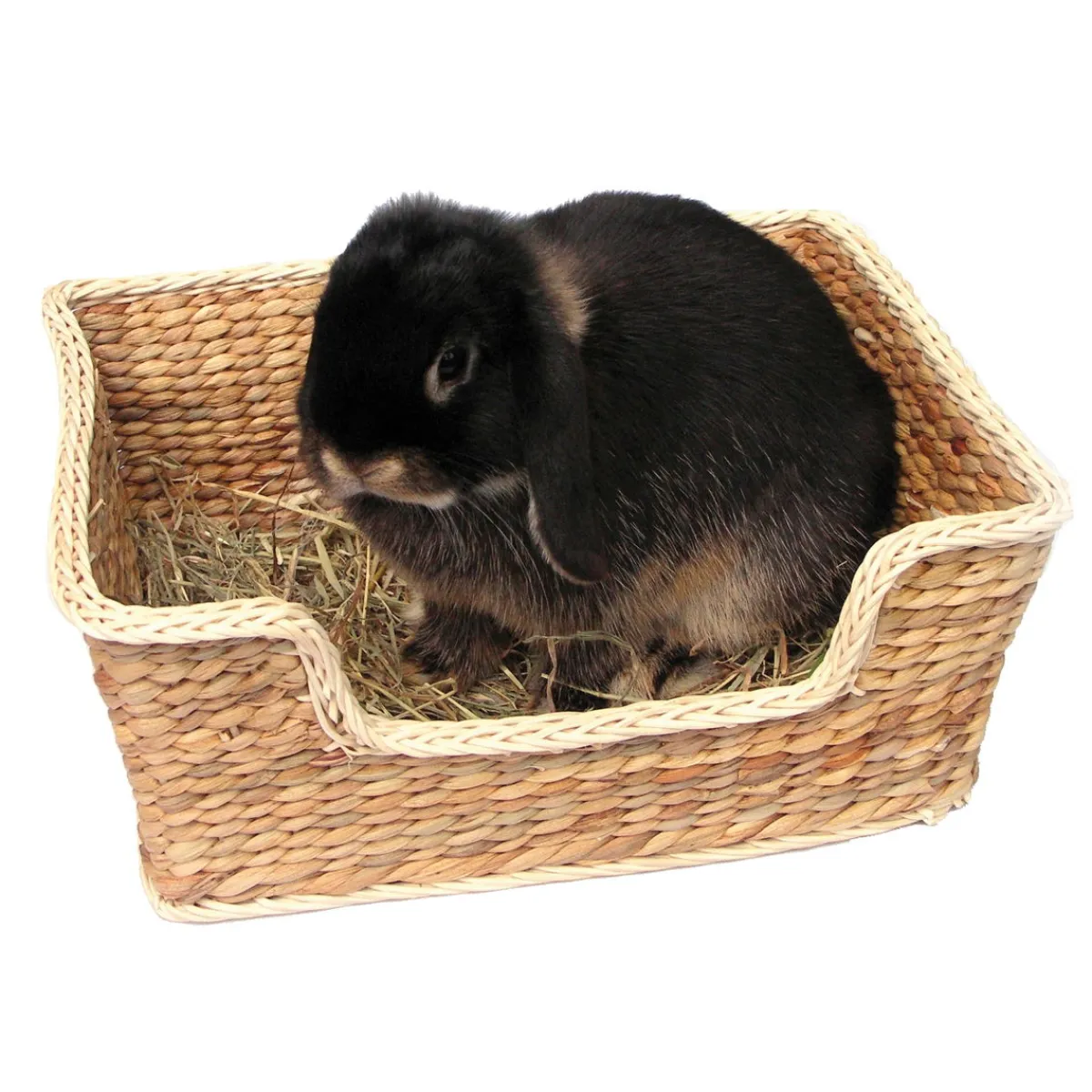 Peti Chill 'n' Snooze>Rosewood Outlet