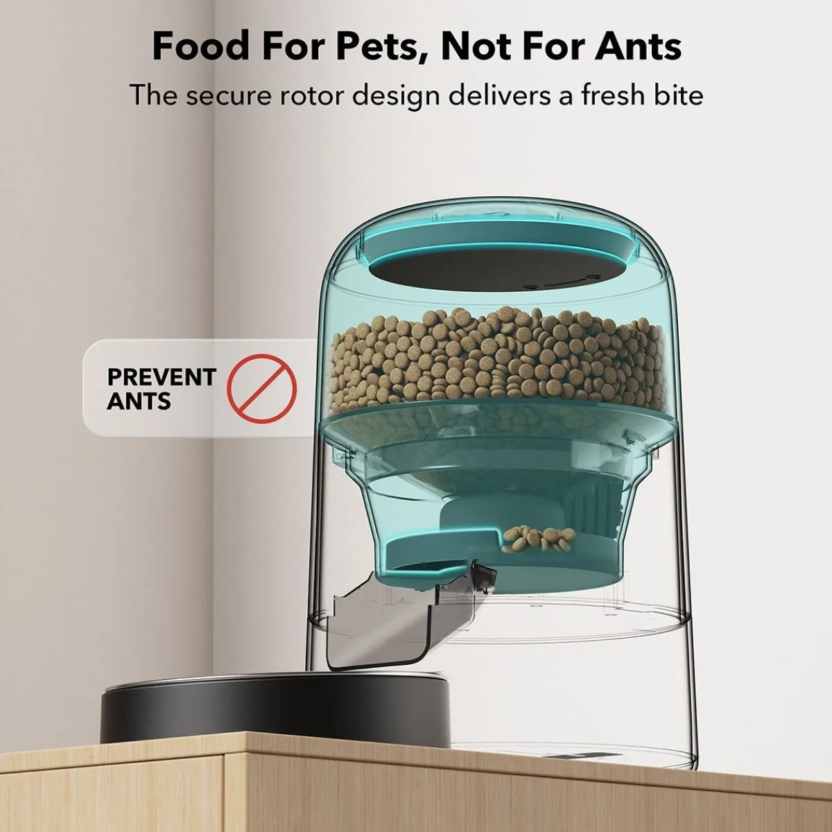 Air -kissan ruoka-automaatti>Petlibro Sale