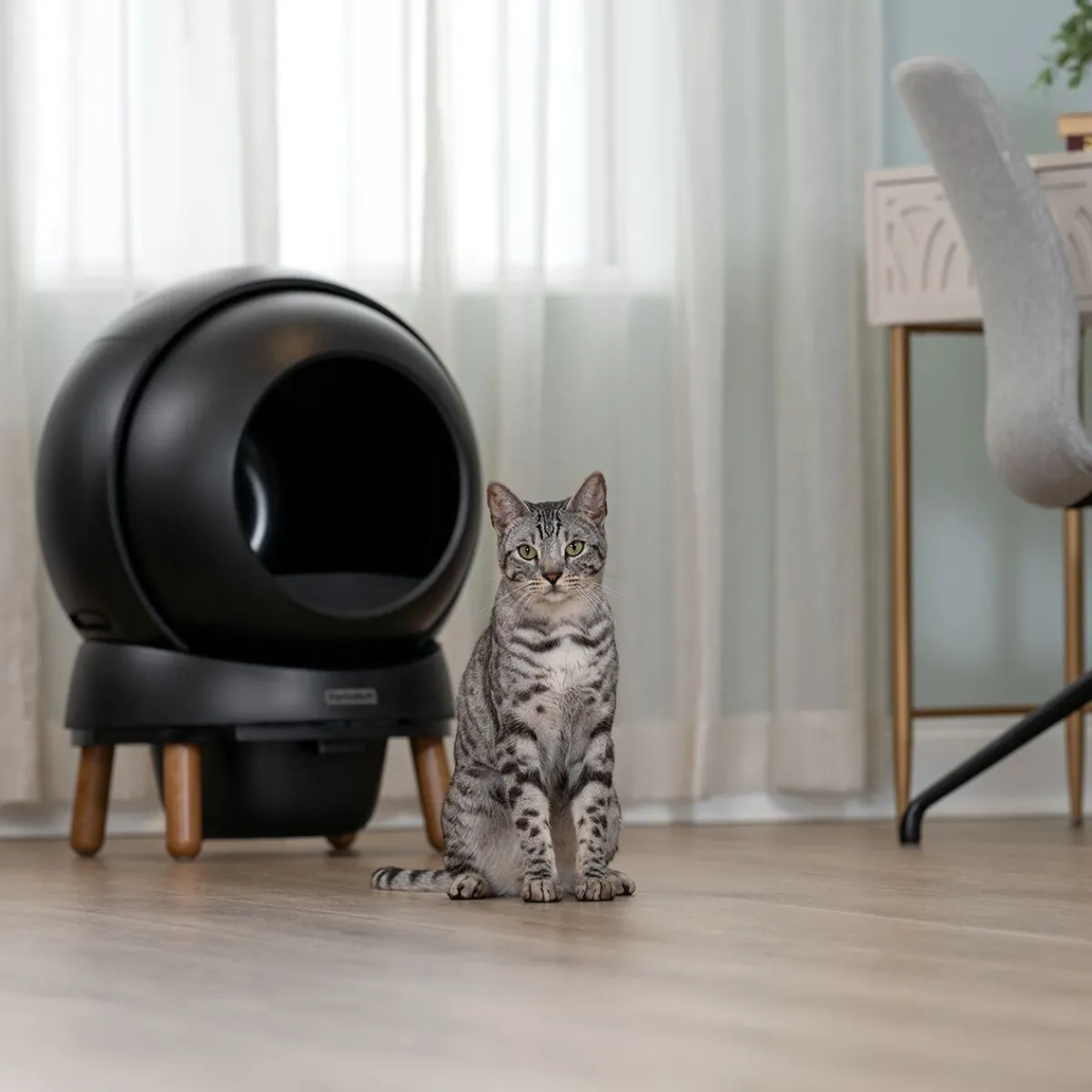 SmartSpin -automaattinen kissanvessa,>Petsafe Online