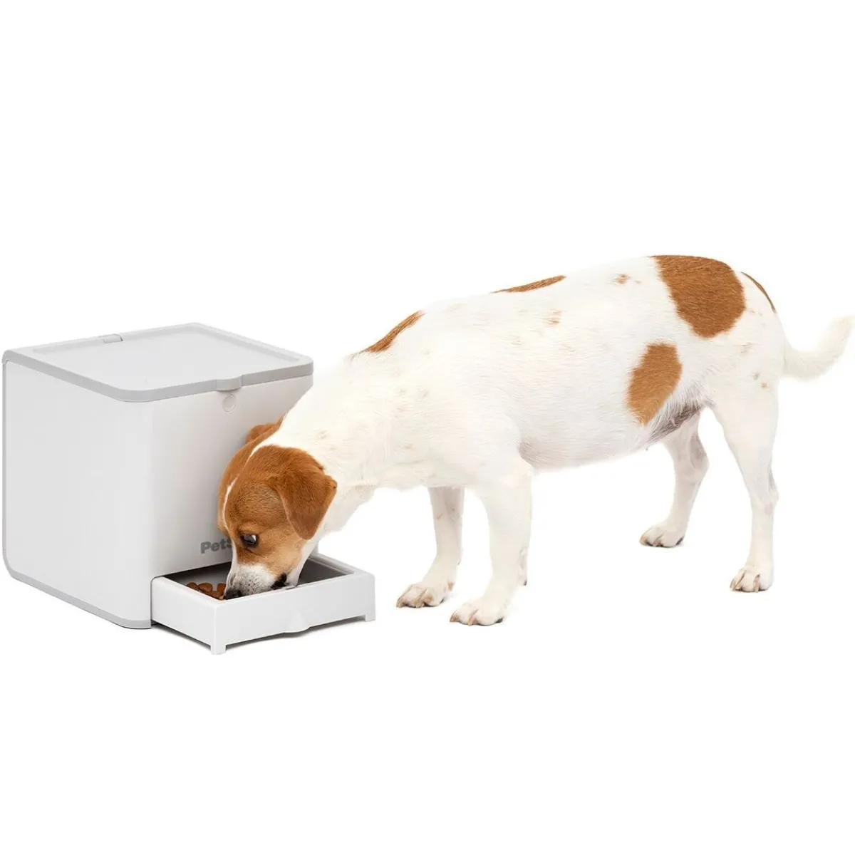 ® Teach & Treat Reward Trainer>Petsafe