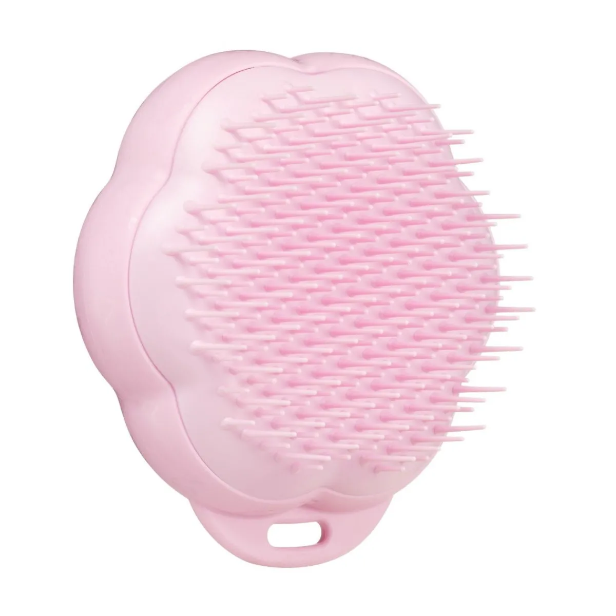Cat kissan harja>Pet Teezer Sale