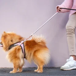 Pienen koiran valjaat Urban Fast-Fit, roosa>Rogz Clearance