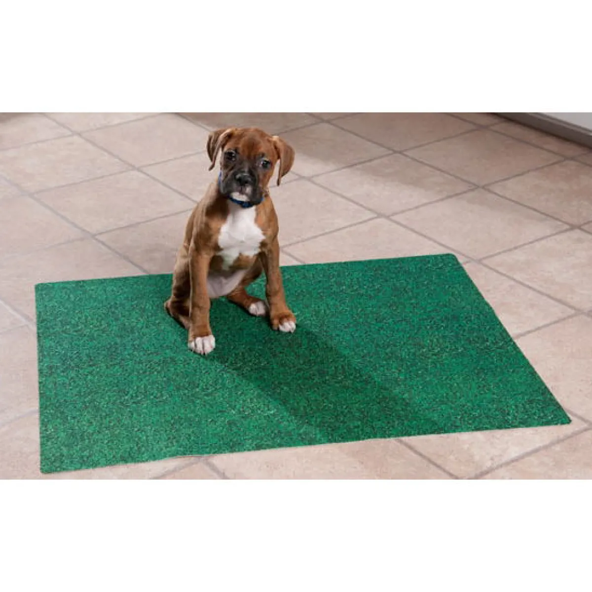Pissa-alusta Potty Pad Green>Drymate Online