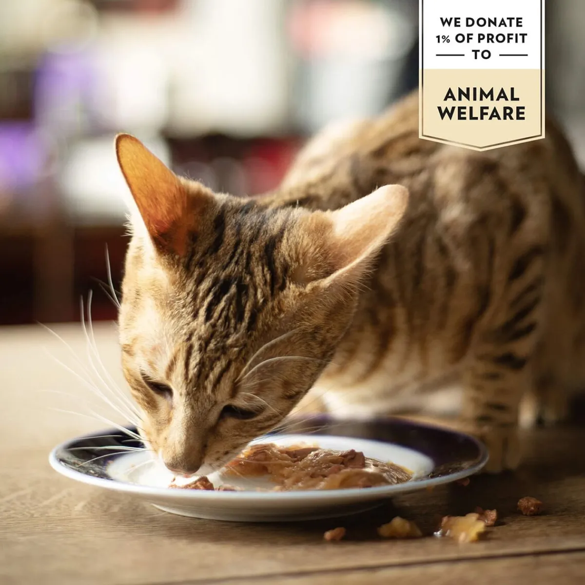 Classic valuepack 48x85g>PrimaCat Online