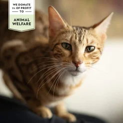 Prima Cat Crunchy Anti-hairball 40 g>PrimaCat