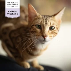 Prima Cat Crunchy Skin & Coat 40 g>PrimaCat Discount