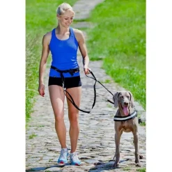 Handsfree setti>Pro Dog Sale