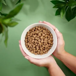 Adult Dog Mini>Purenatural Hot