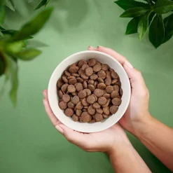 Dog Adult Grain Free Salmon>Purenatural