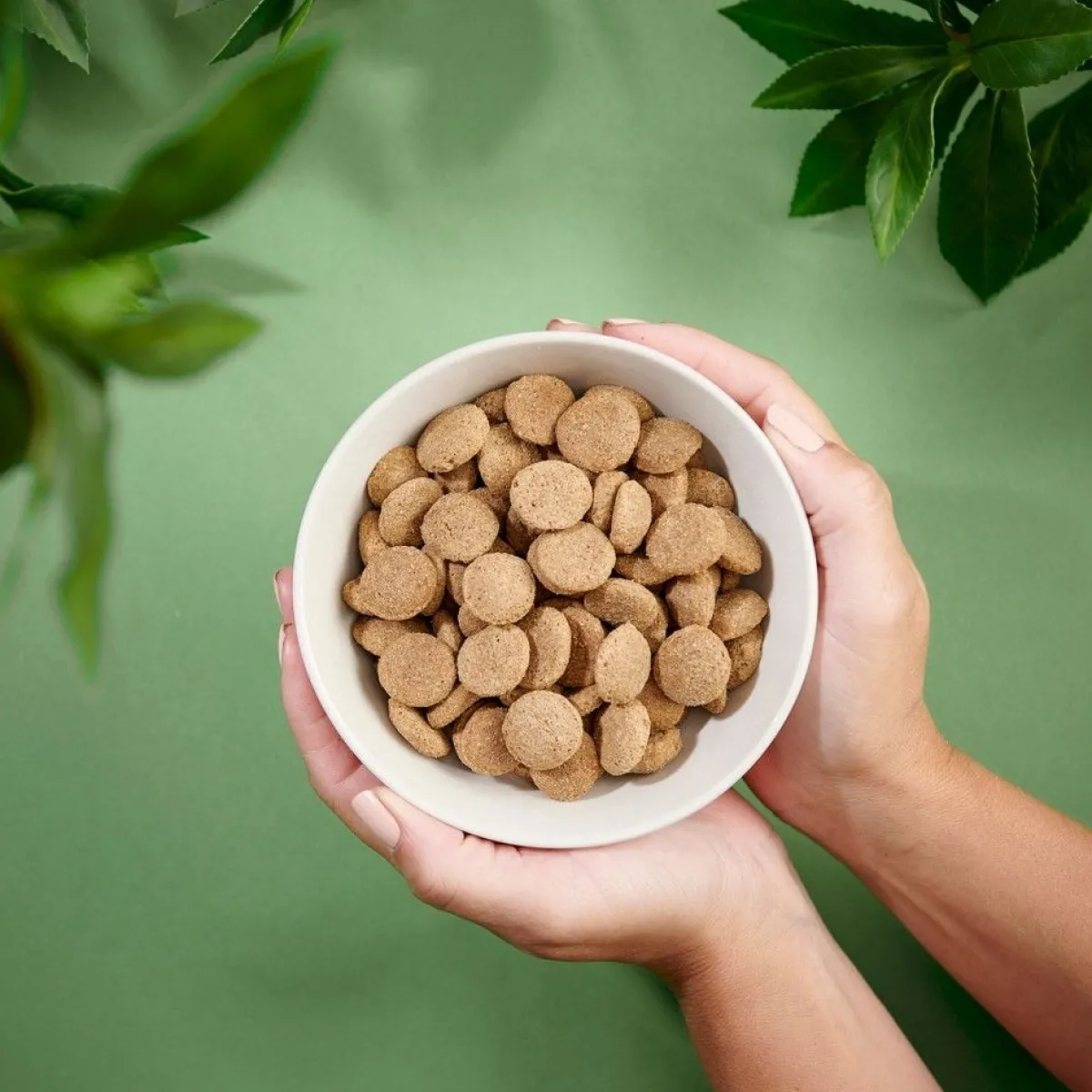 Puppy Large>Purenatural Clearance