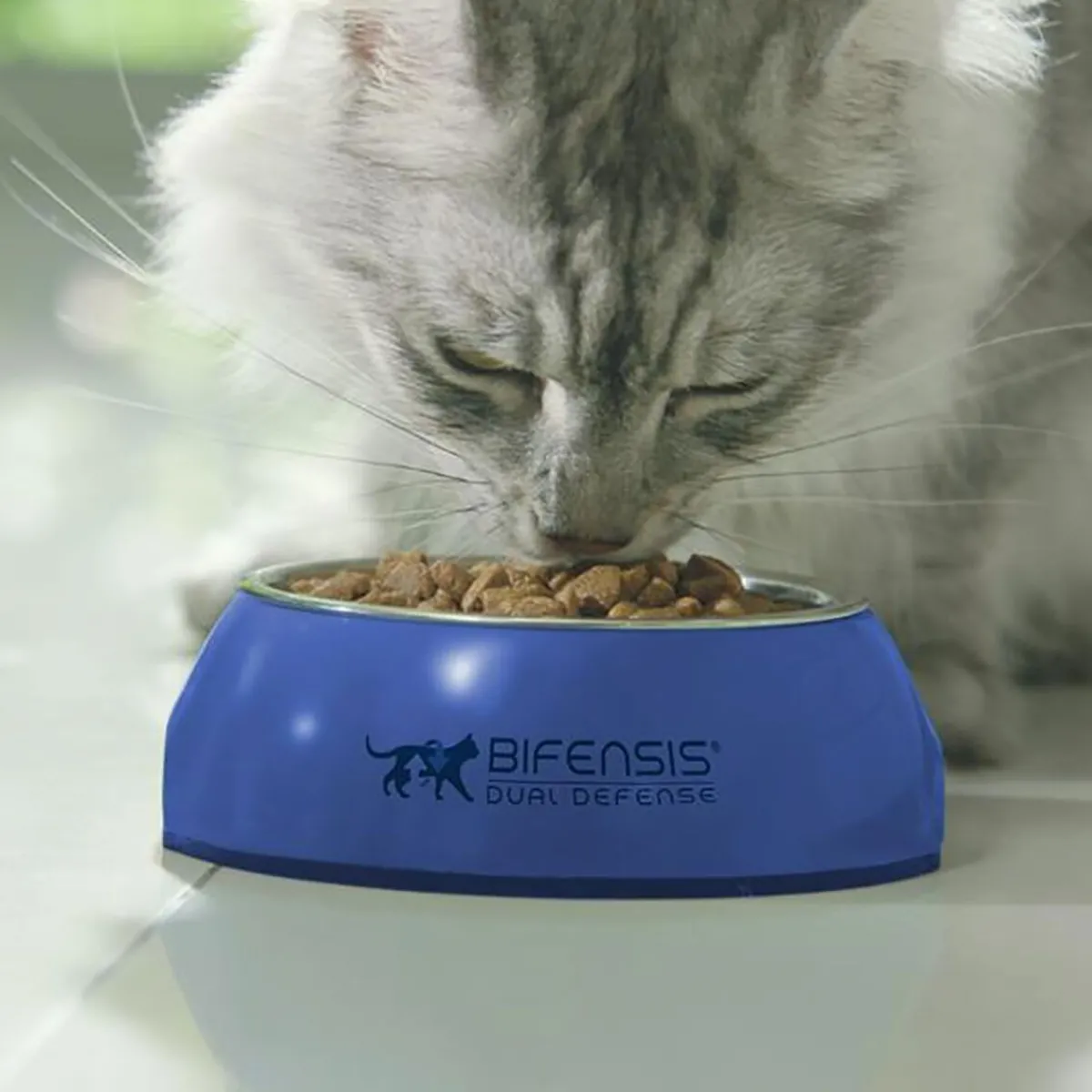 Cat Adult lohi>Purina ONE New