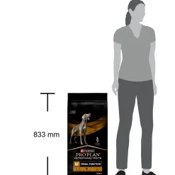 Purina VD Dog NF RenalFunction 12kg>Purina Veterinary Diets Outlet