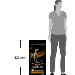 Purina VD Dog NF RenalFunction 12kg>Purina Veterinary Diets Outlet
