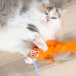 kissanonki koikarppi>Quirky Kitty Sale