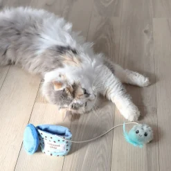Mice cream hide-a-toy>Quirky Kitty Sale