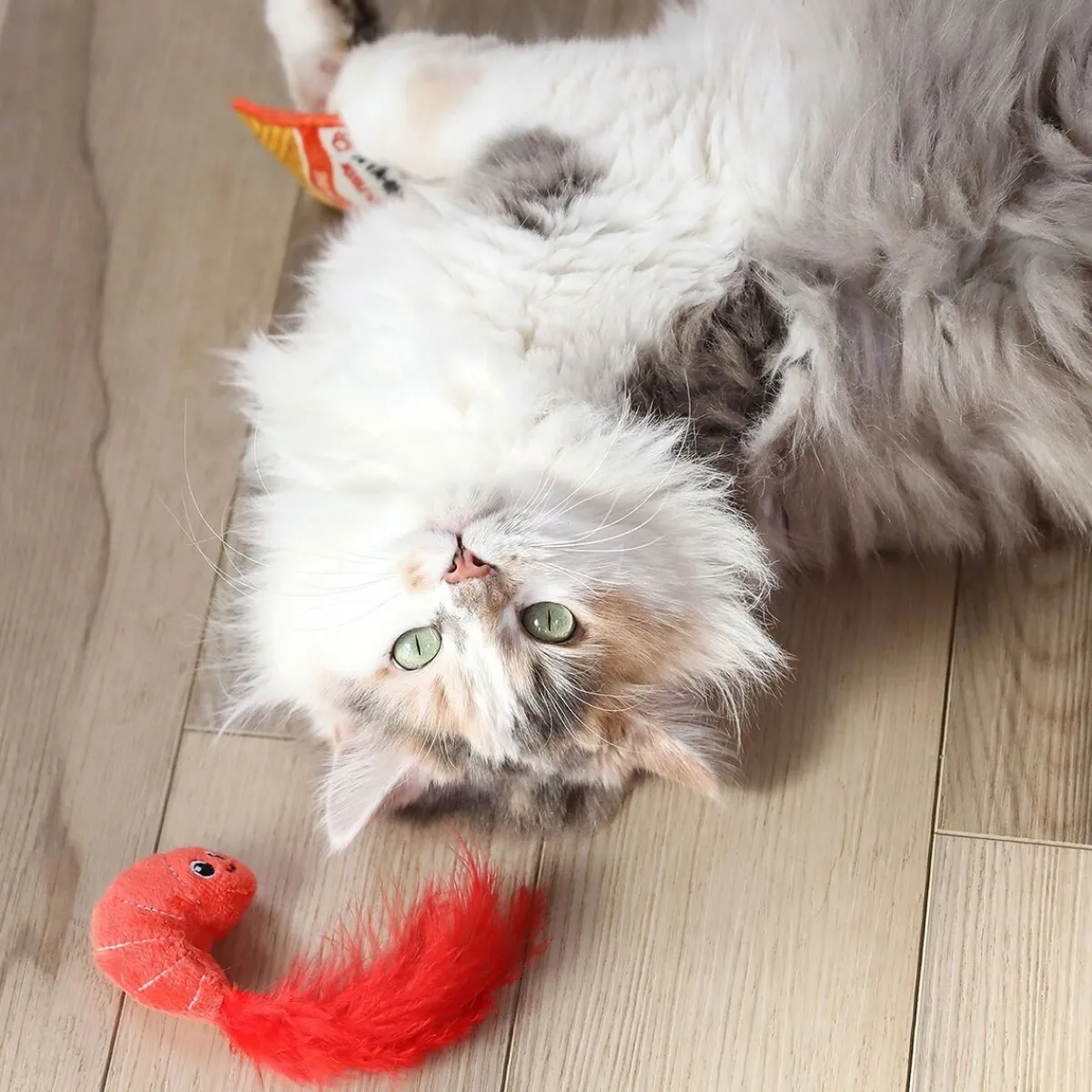 Ramen 2 kpl>Quirky Kitty