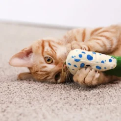 Viini & Juusto Kissanminttulelut>Quirky Kitty New