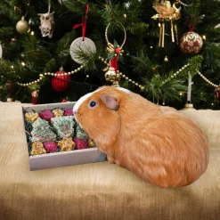 Festive Cookies Forage Tray 170g>Rosewood Sale
