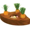 Puiset porkkanat telineessä>Rosewood Online