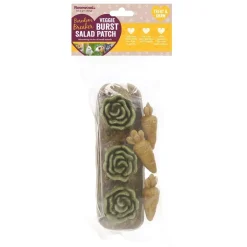 Veggie Burst Salad Patch>Rosewood Online