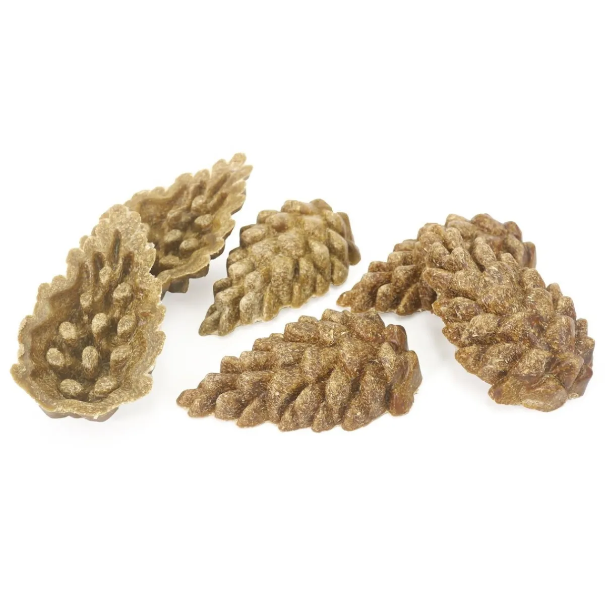 Veggied burst pinecones 6 kpl>Rosewood Best