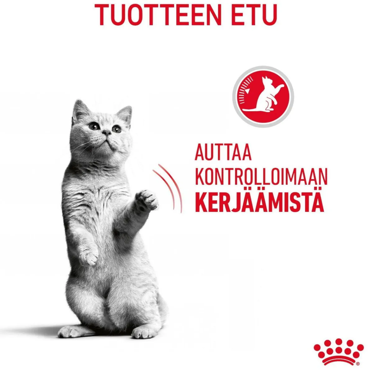 Appetite Control Care>Royal Canin New