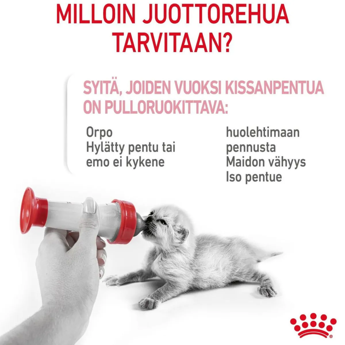 Babycat Milk, 300 g>Royal Canin Clearance