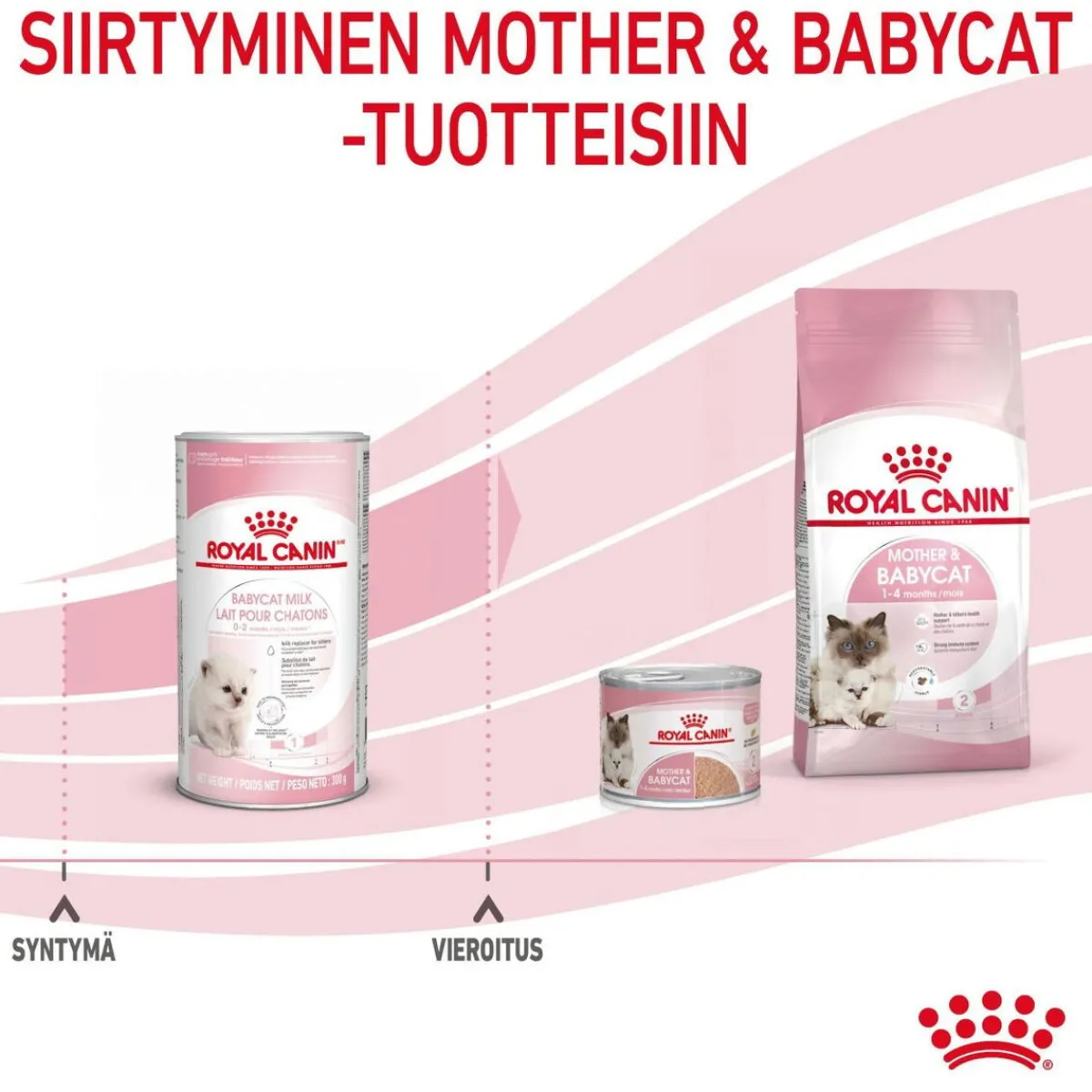 Babycat Milk, 300 g>Royal Canin Clearance