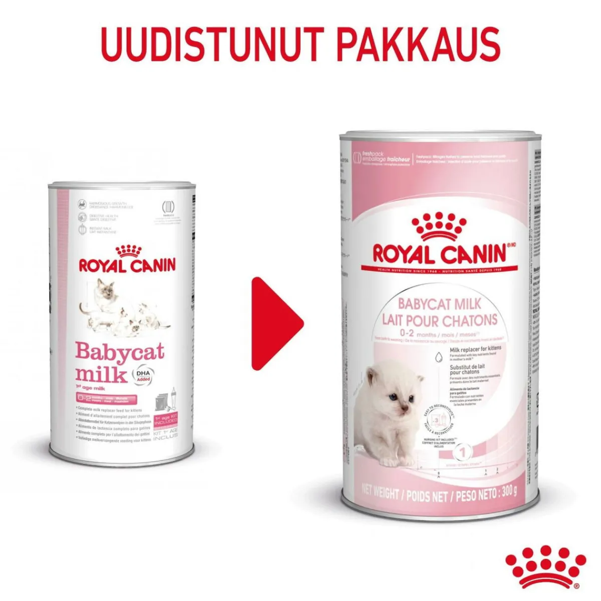 Babycat Milk, 300 g>Royal Canin Clearance