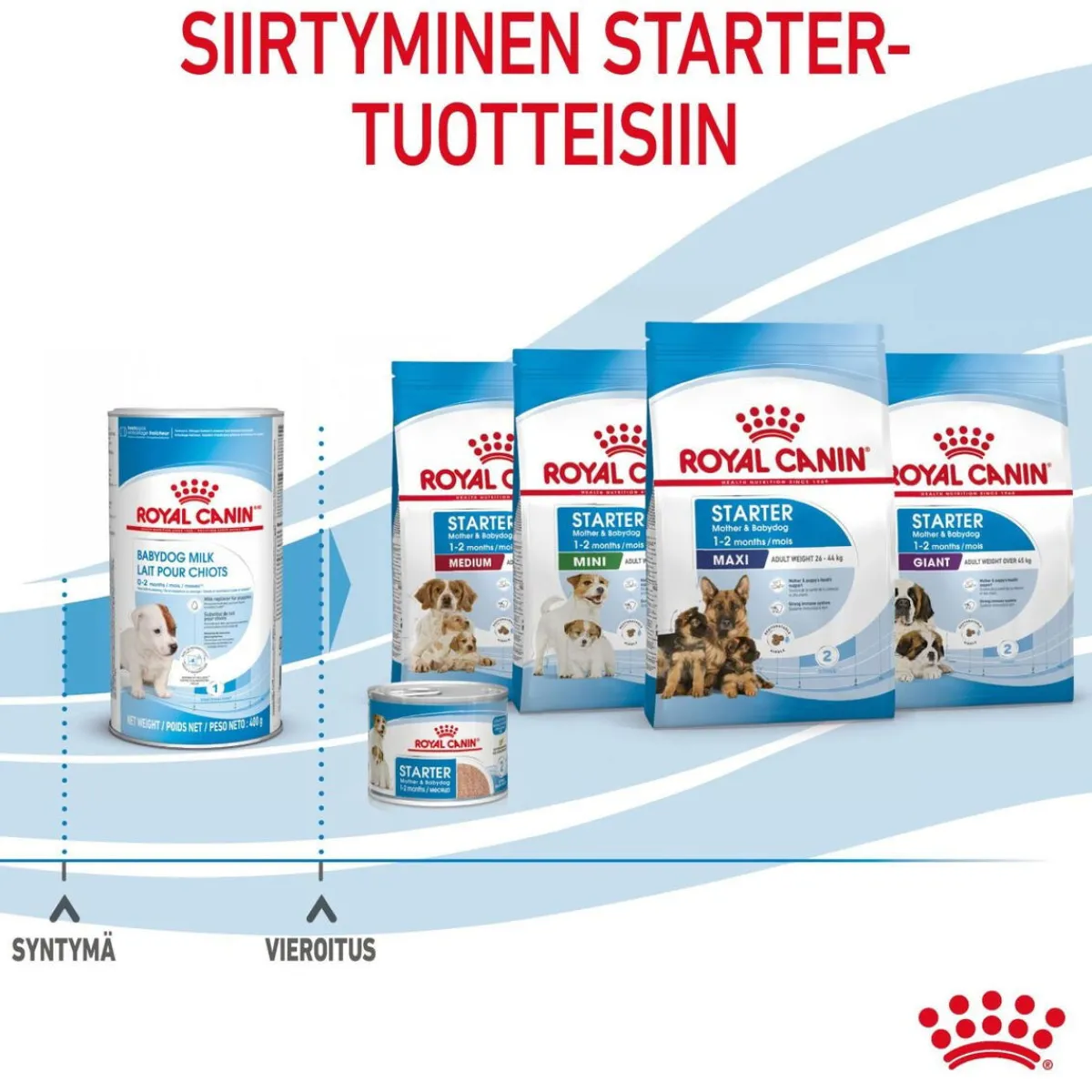 Babydog Milk>Royal Canin Outlet