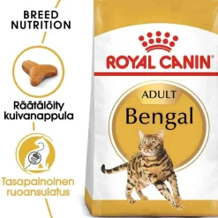 Bengal>Royal Canin
