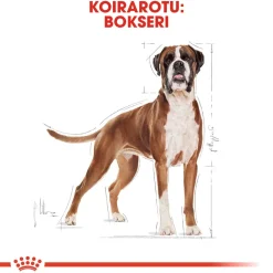 Boxer Adult 12 kg>Royal Canin Outlet