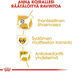 Boxer Adult 12 kg>Royal Canin Outlet