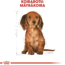 Breed Dachshund Puppy 1,5 kg>Royal Canin New