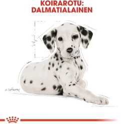 Breed Dalmatian Puppy>Royal Canin Clearance
