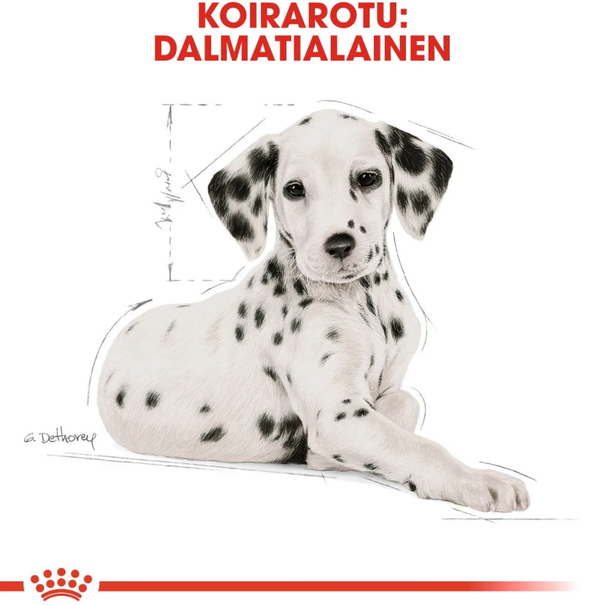 Breed Dalmatian Puppy>Royal Canin Clearance