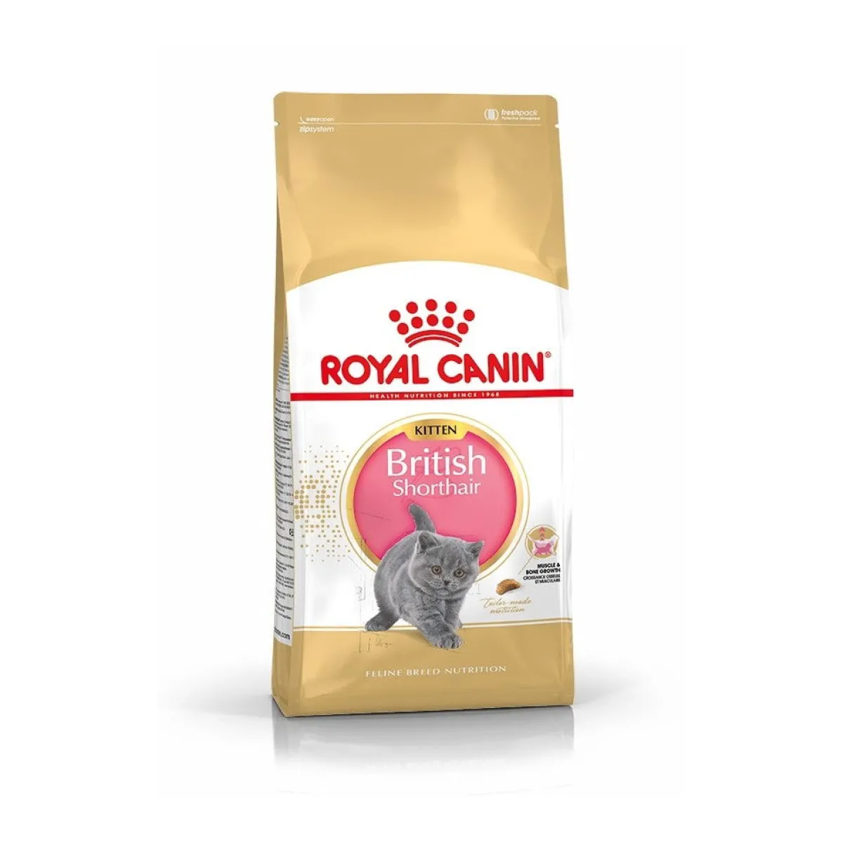 British Shorthair Kitten, 2 kg>Royal Canin Online