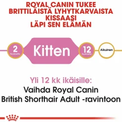 British Shorthair Kitten, 2 kg>Royal Canin Online