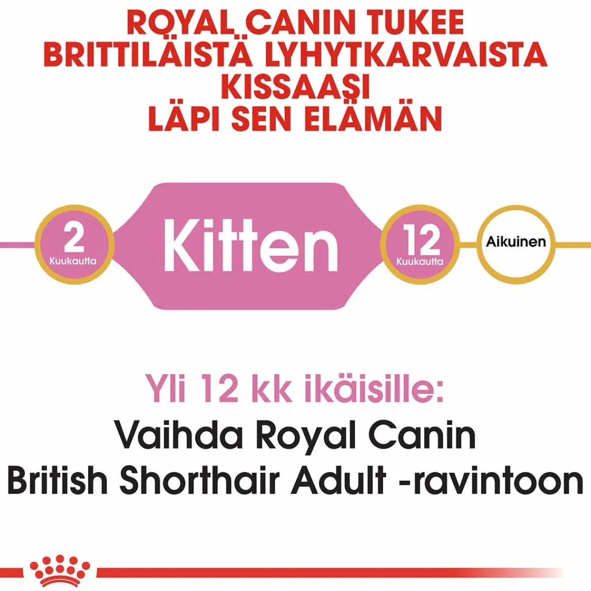 British Shorthair Kitten, 2 kg>Royal Canin Online