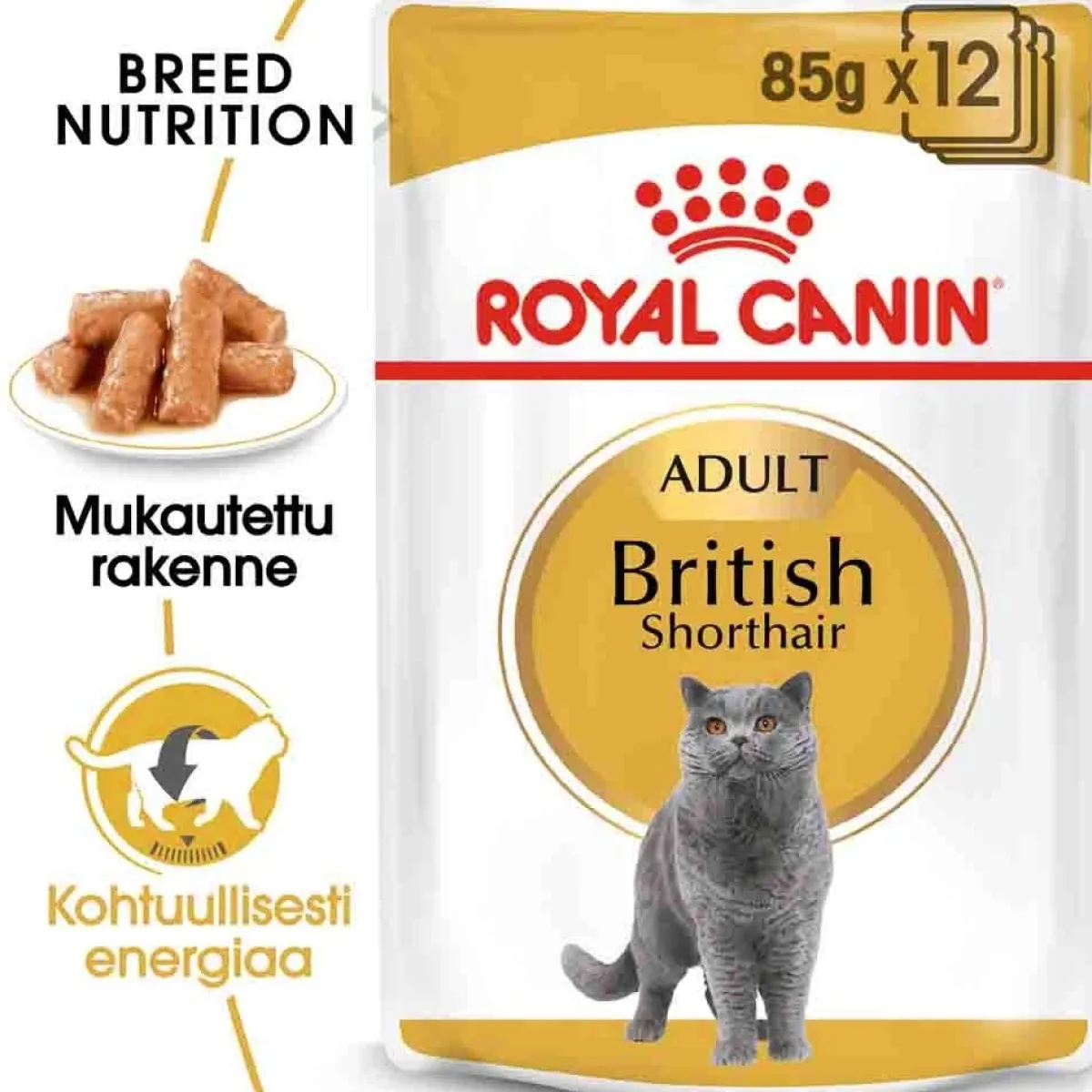 British Shorthair Wet 12 x 85g>Royal Canin Online