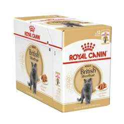 British Shorthair Wet 12 x 85g>Royal Canin Online