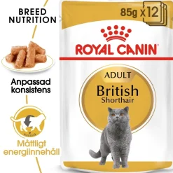 British Shorthair 85g, 48-pack>Royal Canin Online