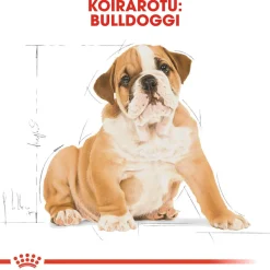Bulldog Puppy 12 kg>Royal Canin Clearance