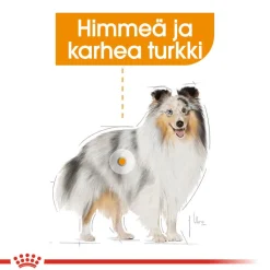Coat Care wet 12 x 85 g>Royal Canin Hot